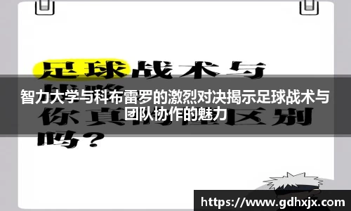 jbo竞博.体育官方网站